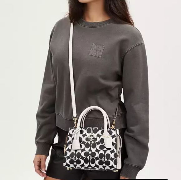 NEW! Andrea Carryall in Signature Canvas, CP080 - Picture 6 of 8